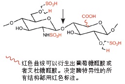 NEB代理 , 糖生物学与蛋白质工具 , 肝素裂解酶