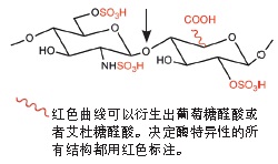 NEB代理 , 糖生物学与蛋白质工具 , 肝素裂解酶