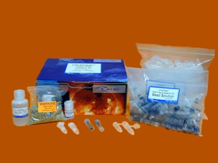 美国MOBIO 组织细胞DNA提取试剂盒 UltraClean&reg; Tissue & Cells DNA Isolation Kit