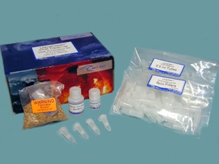 美国MOBIO PCR DNA回收试剂盒UltraClean&reg; PCR Clean-Up Kit