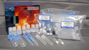 美国MoBio无内毒素质粒DNA中量提取试剂盒UltraClean&reg; Endotoxin-Free Midi Plasmid Prep Kit